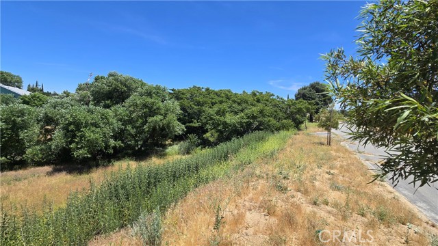 MLS #SR25135886 image #13