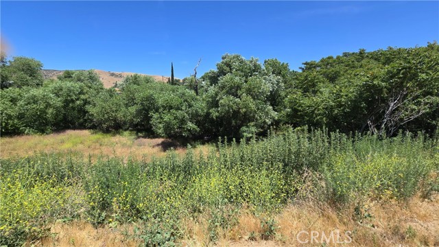 MLS #SR25135886 image #15