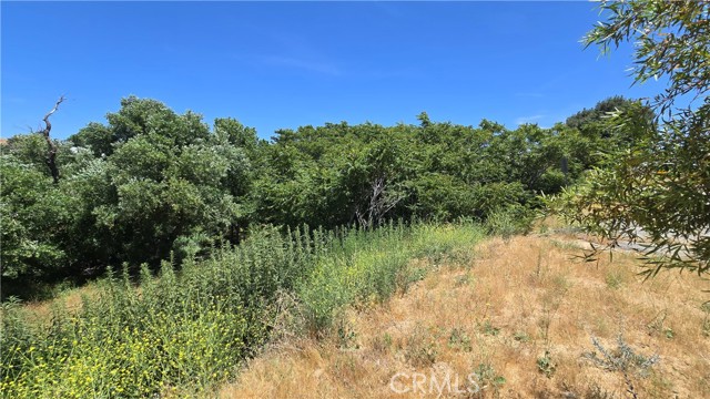 MLS #SR25135886 image #16