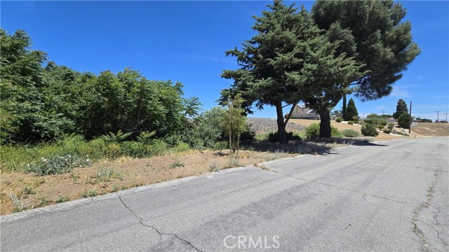 MLS #SR25135886 image #23