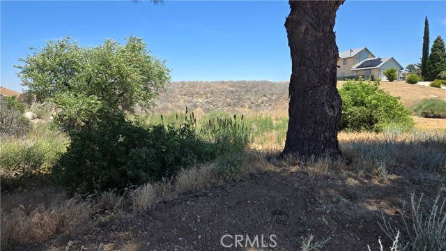 MLS #SR25135886 image #25