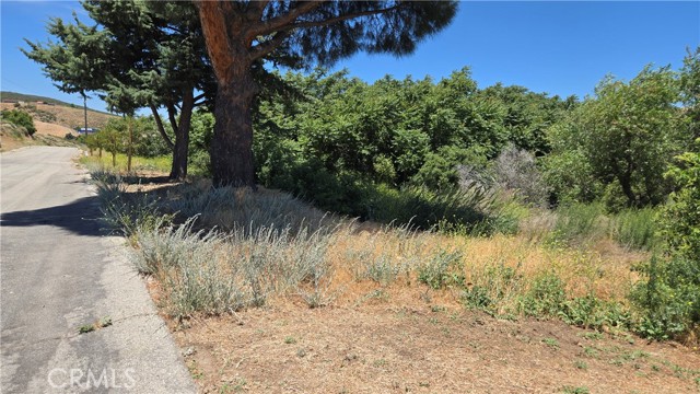 MLS #SR25135886 image #27