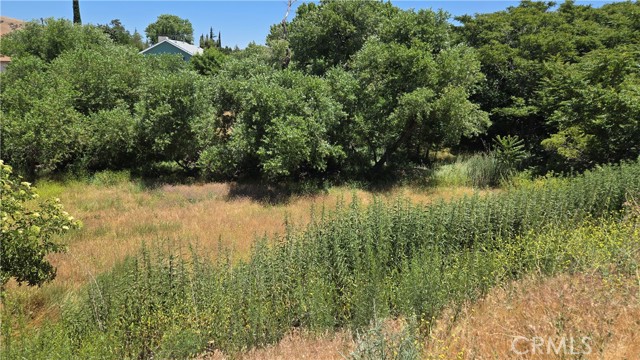 MLS #SR25135886 image #9