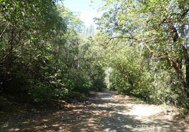 MLS #SR25137591 image #1