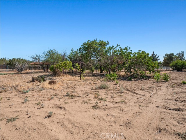 MLS #SR25138449 image #5