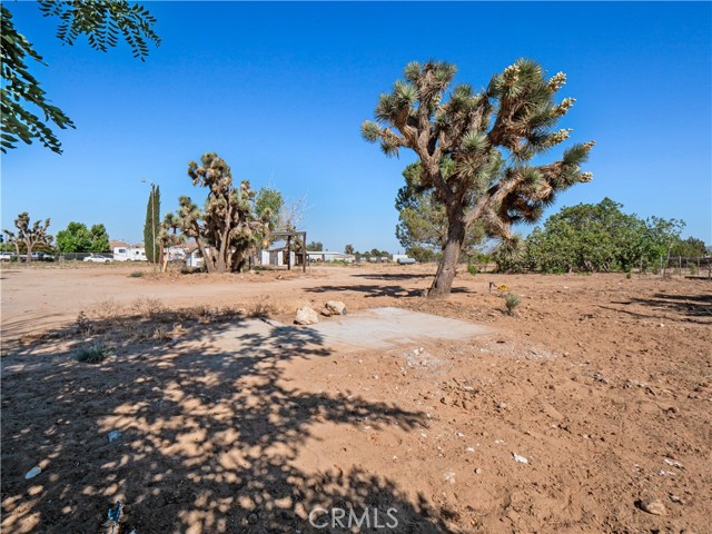 MLS #SR25138449 image #7