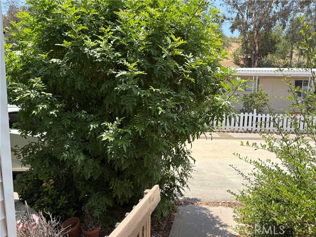 MLS #SR25139705 image #5