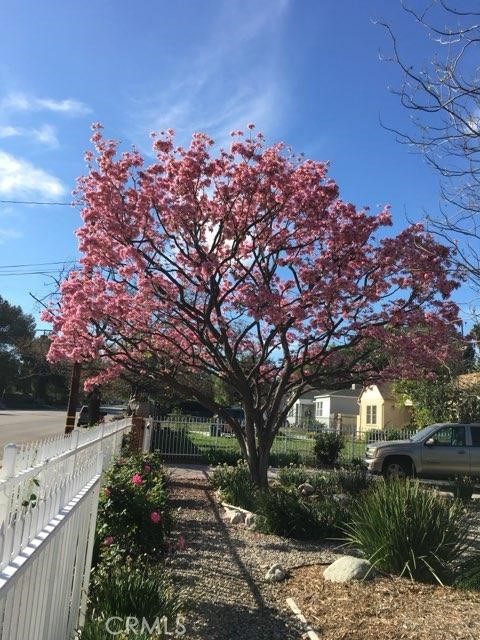 MLS #SR25141858 image #16