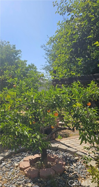 MLS #SR25141858 image #28