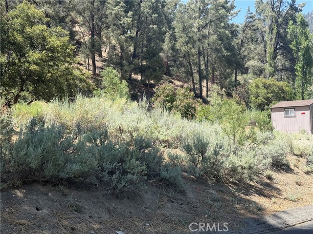 MLS #SR25143733 image #1