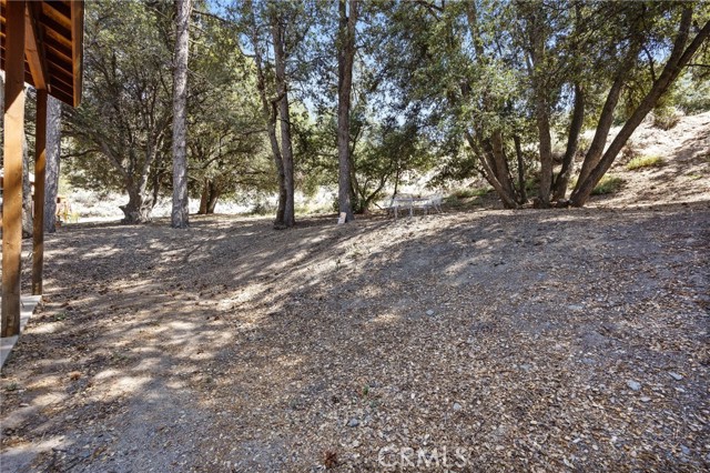 MLS #SR25143785 image #7