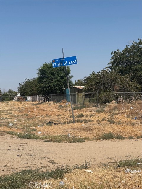 MLS #SR25145167 image #5