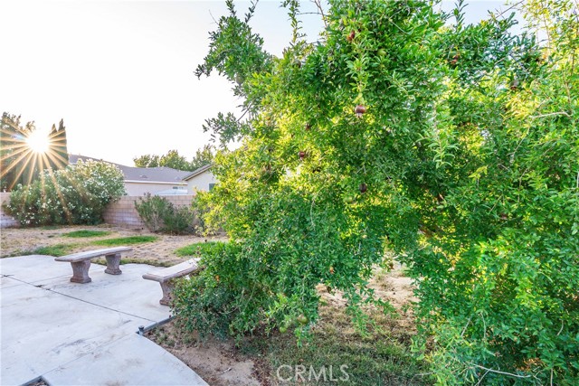 MLS #SR25146881 image #42