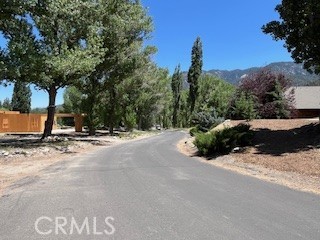 MLS #SR25150909 image #4