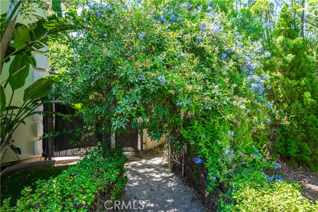 MLS #SR25152511 image #53