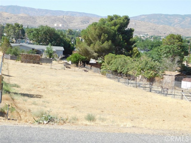 MLS #SR25153285 image #10