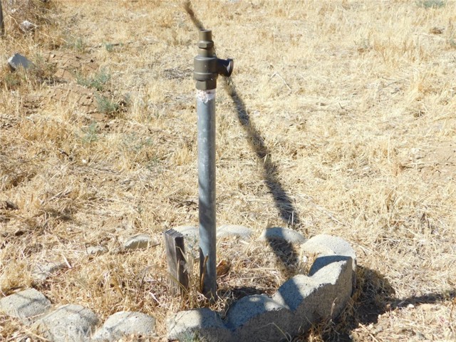 MLS #SR25153285 image #5