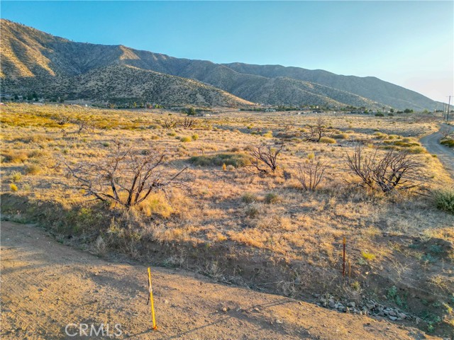 MLS #SR25155135 image #2