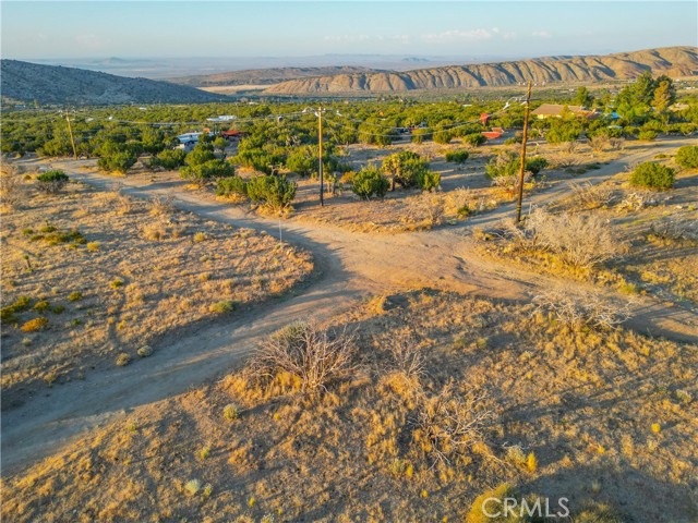 MLS #SR25155135 image #4