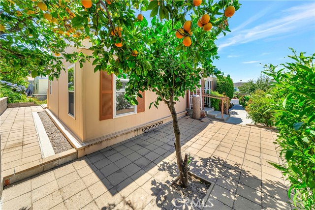 MLS #SR25155884 image #31