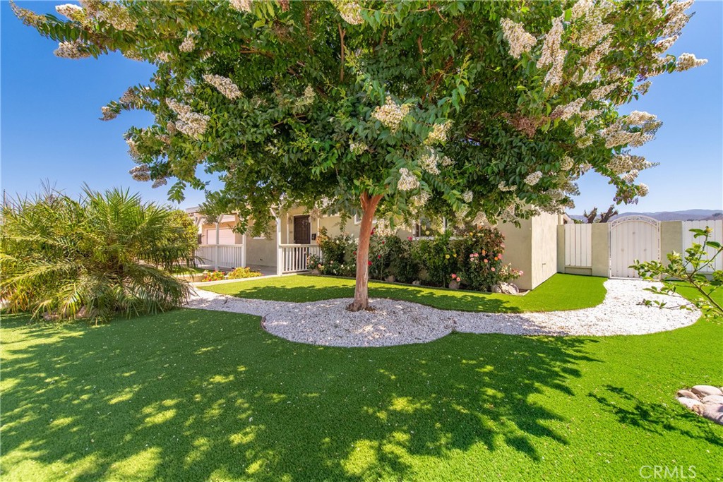 MLS #SR25156998 image #3