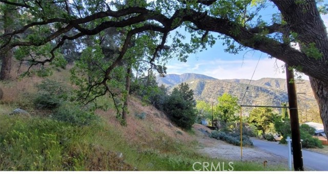 MLS #SR25157032 image #0