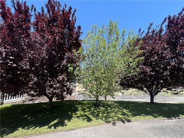 MLS #SR25157051 image #40
