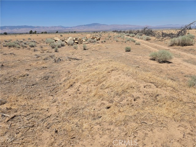 MLS #SR25158422 image #10