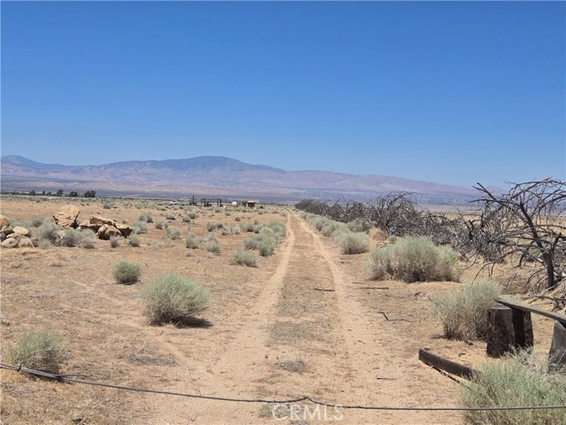 MLS #SR25158422 image #3