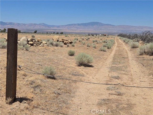 MLS #SR25158422 image #5