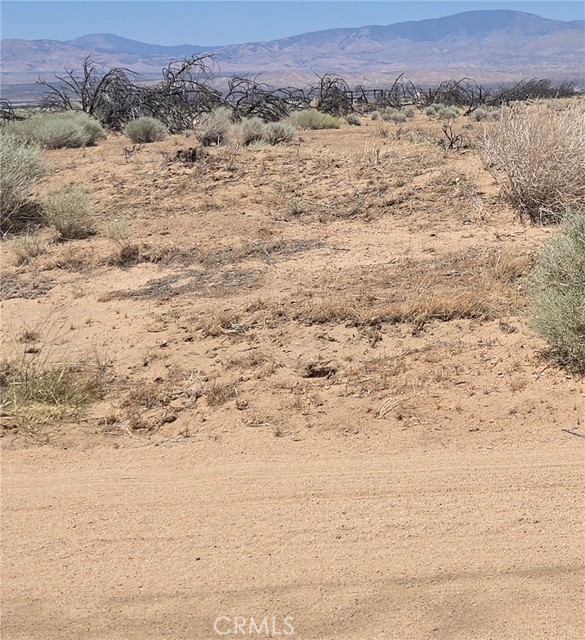 MLS #SR25158422 image #8