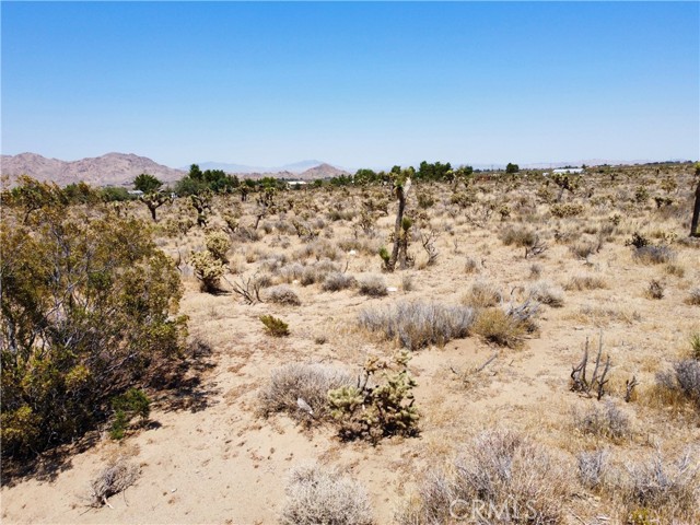 MLS #SR25159363 image #10