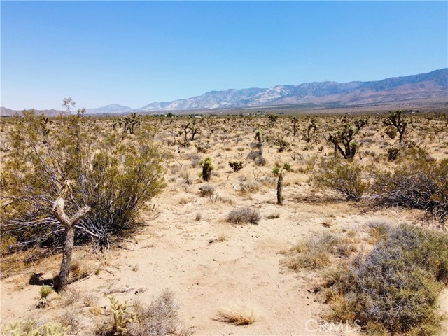 MLS #SR25159363 image #12
