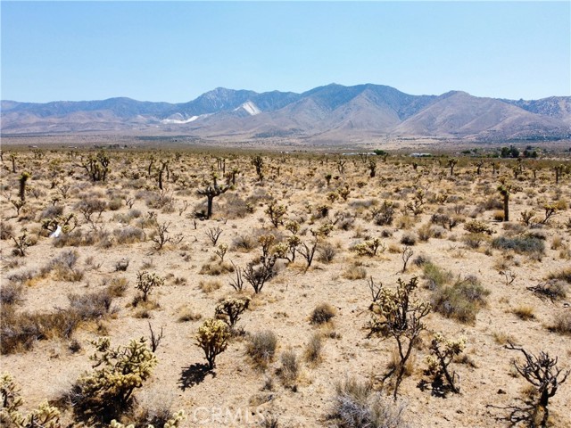 MLS #SR25159363 image #4