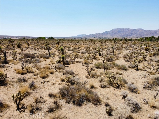 MLS #SR25159363 image #8