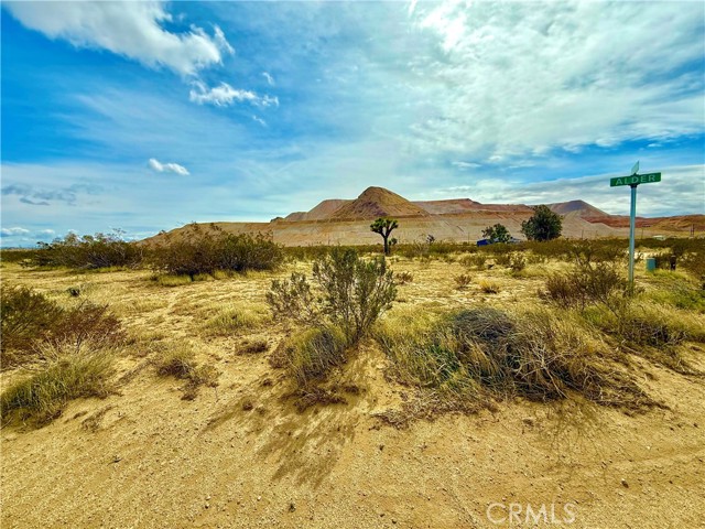 MLS #SR25161982 image #4