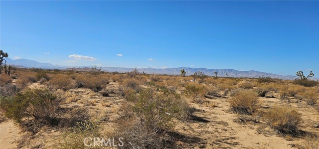 MLS #SR25162857 image #1