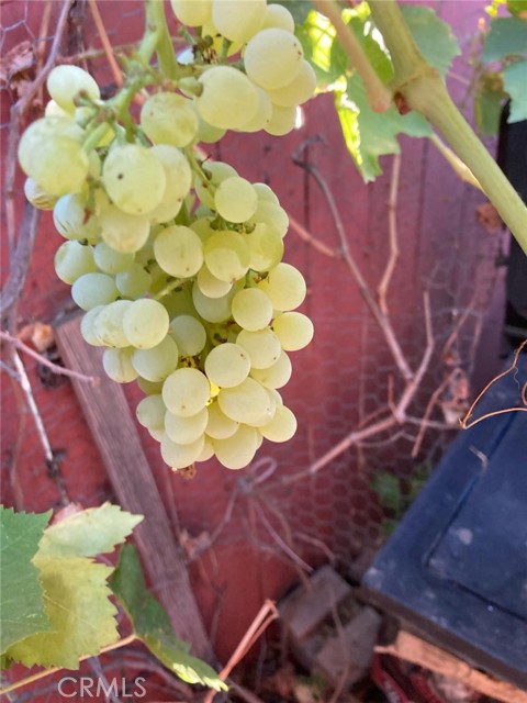 MLS #SR25163455 image #31