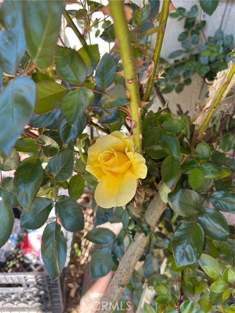 MLS #SR25163455 image #32