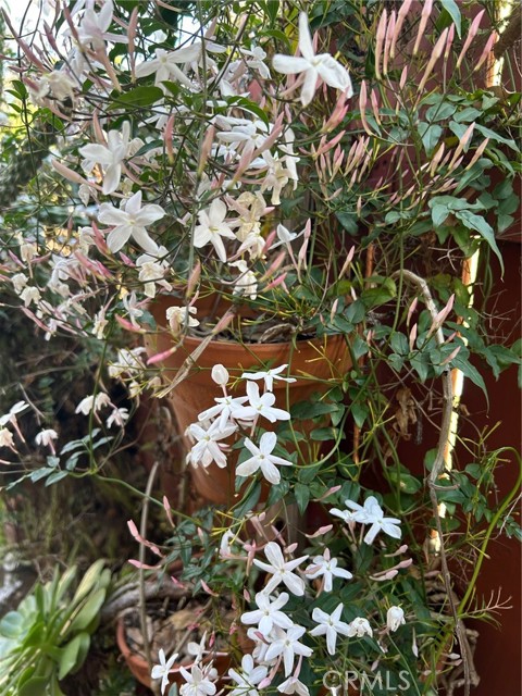 MLS #SR25163455 image #35