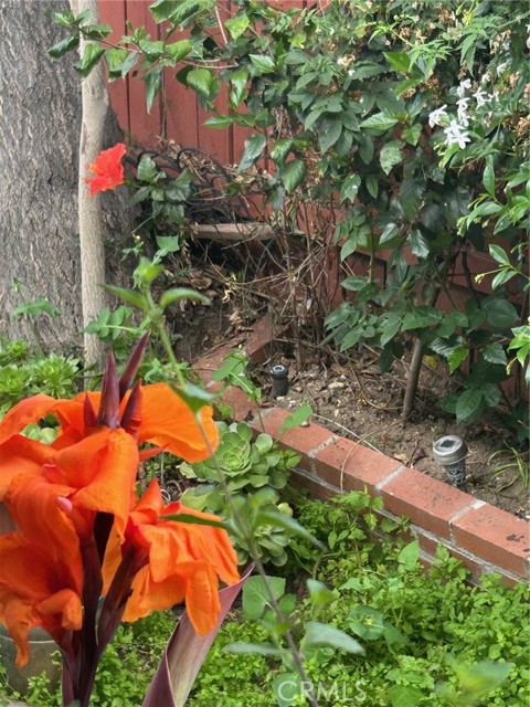 MLS #SR25163455 image #36