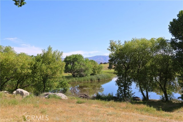 MLS #SR25165420 image #48