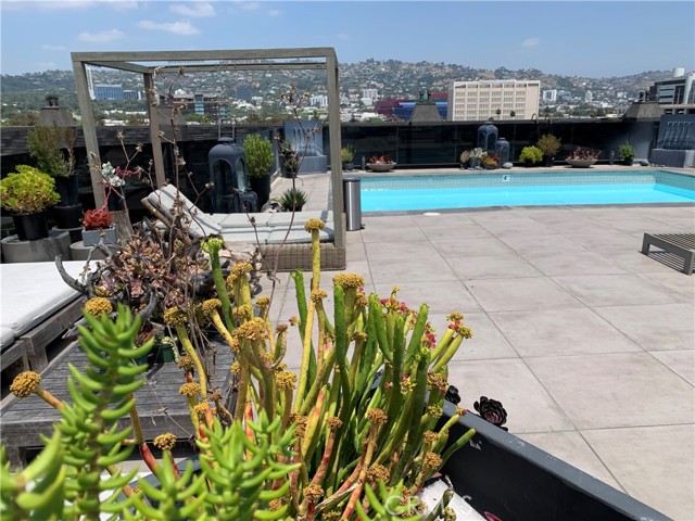 MLS #SR25167199 image #14