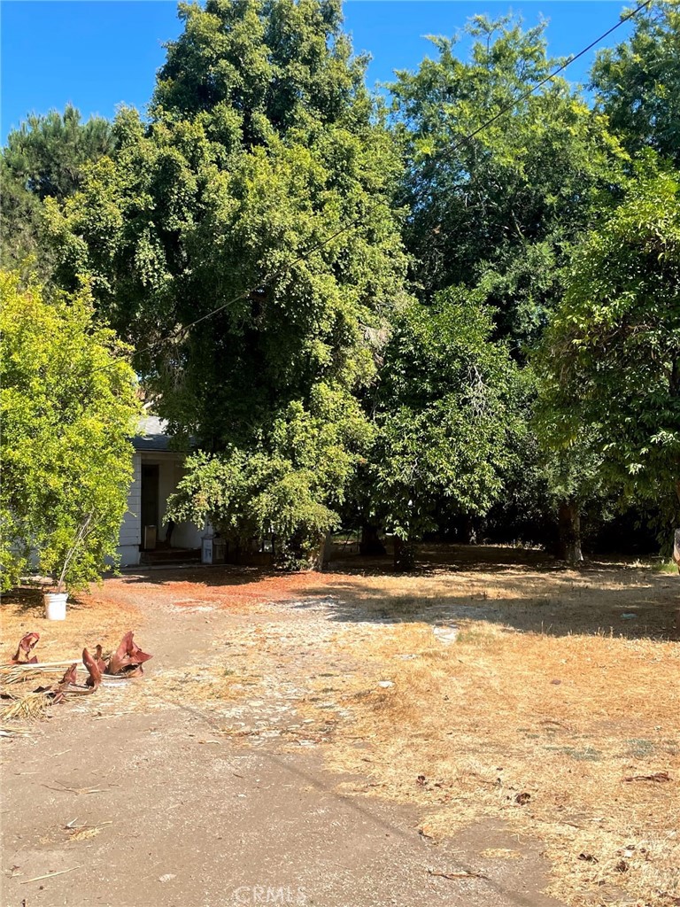 MLS #SR25167229 image #1