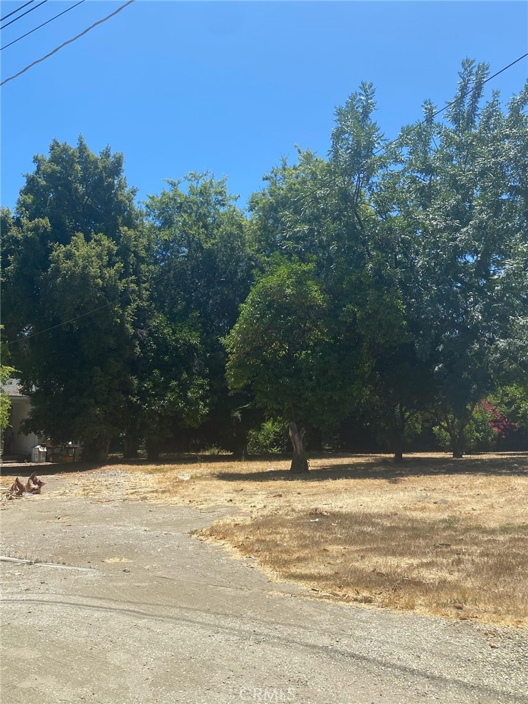 MLS #SR25167229 image #3