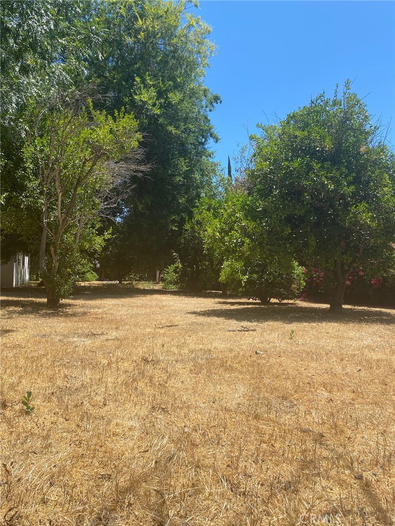 MLS #SR25167229 image #4