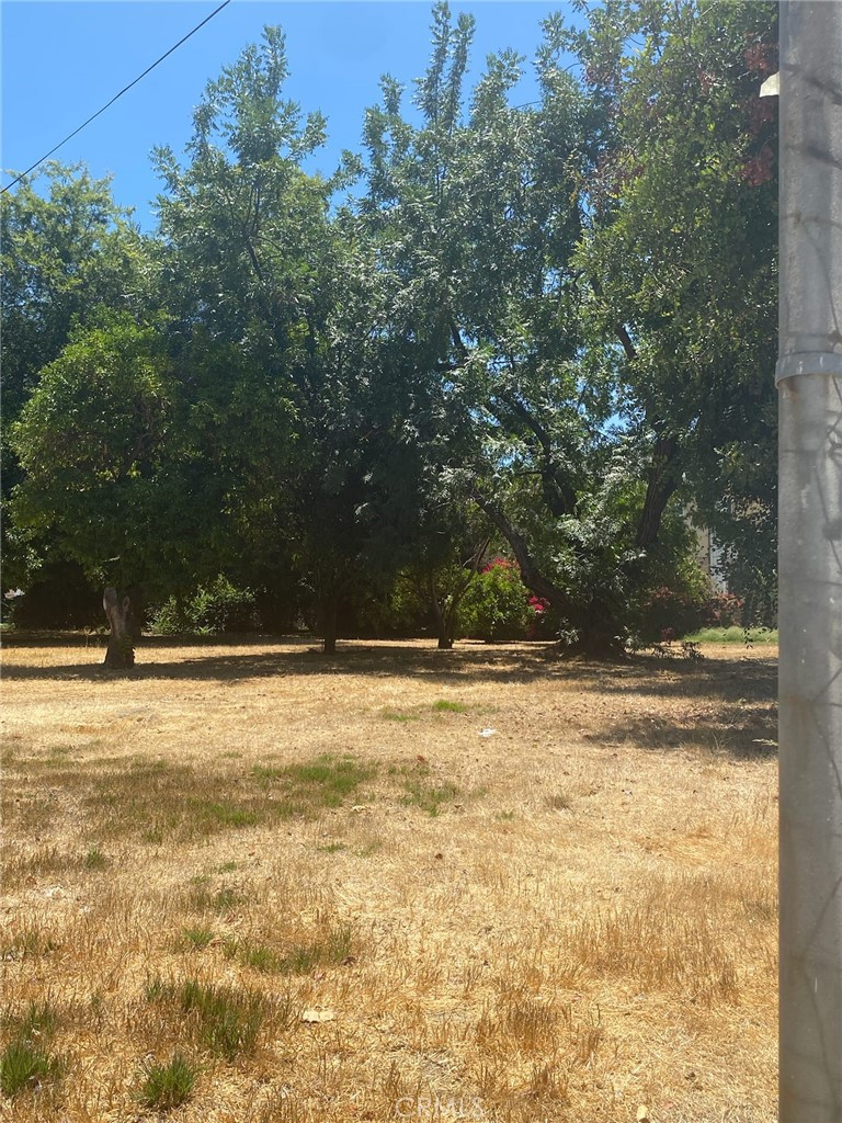 MLS #SR25167229 image #5