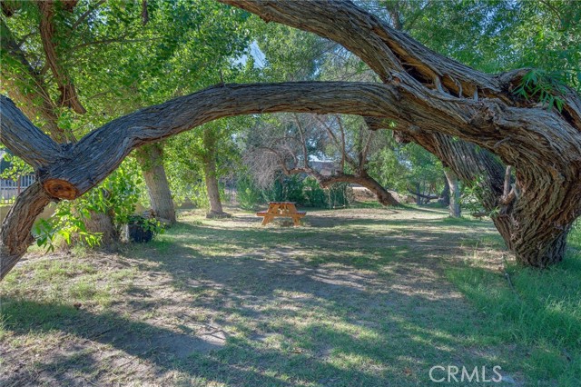 MLS #SR25168050 image #10