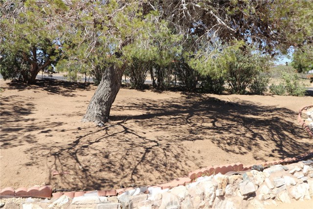 MLS #SR25168656 image #9