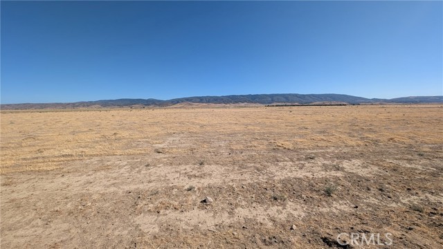 MLS #SR25169426 image #14